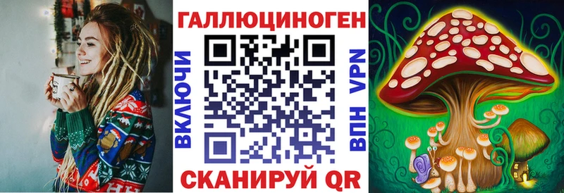 Псилоцибиновые грибы Psilocybine cubensis Лодейное Поле